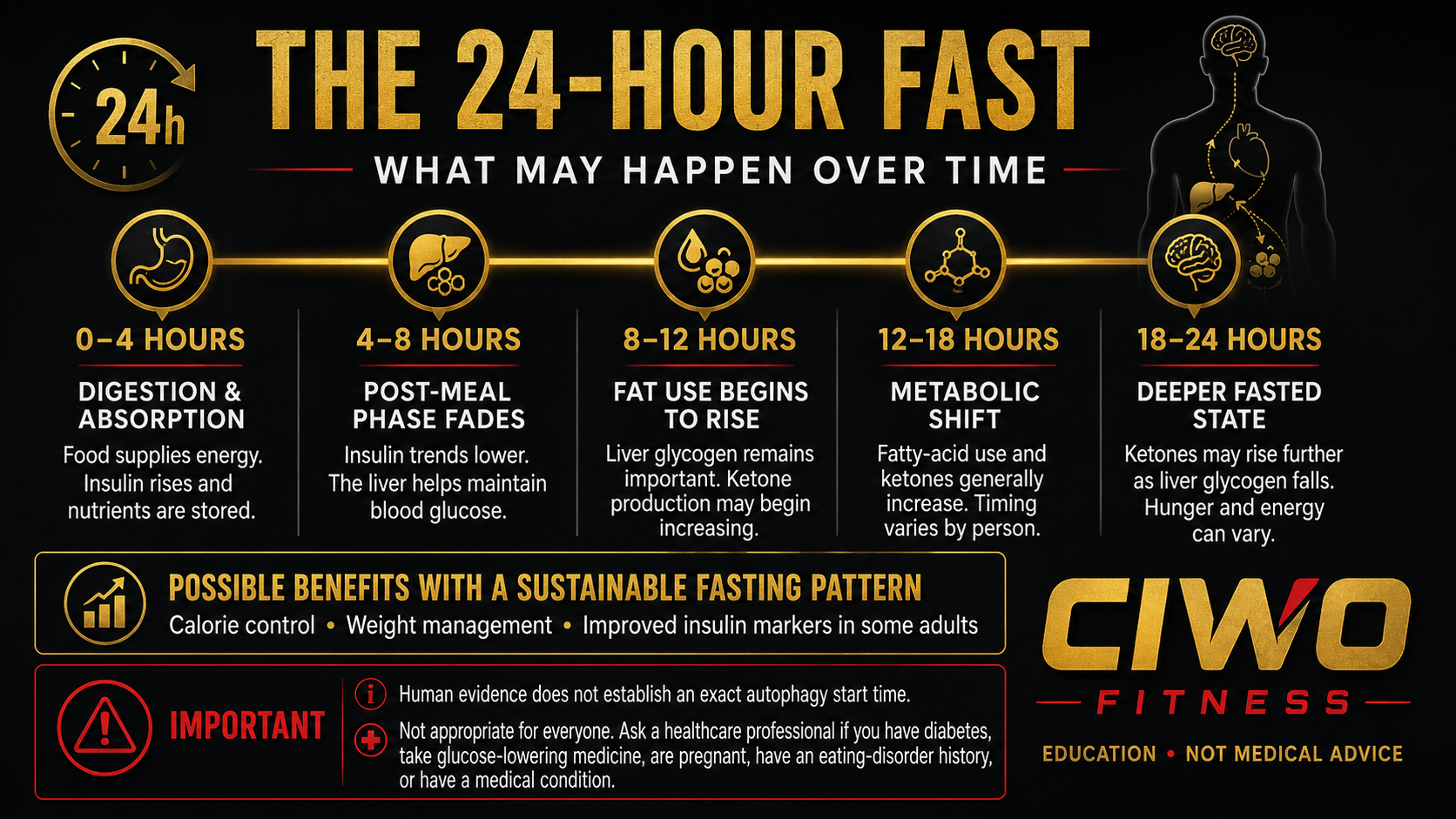 CIWO Fitness 24-hour fasting timeline showing possible body changes from 0 to 24 hours