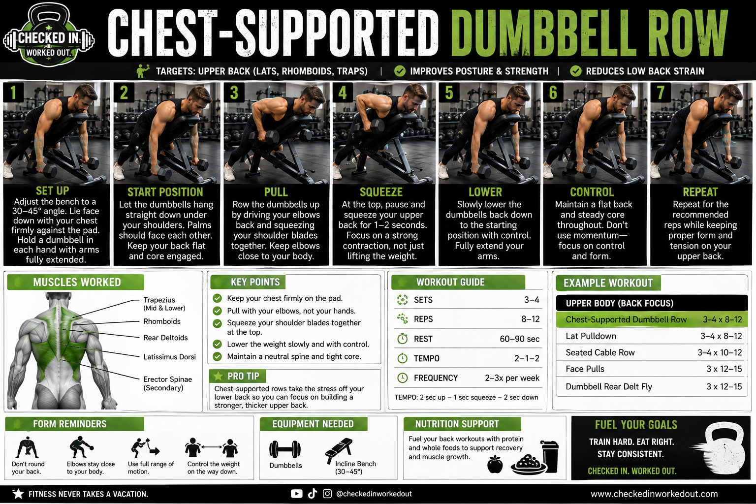 Chest-Supported Dumbbell Row step-by-step exercise guide with dumbbells and incline bench