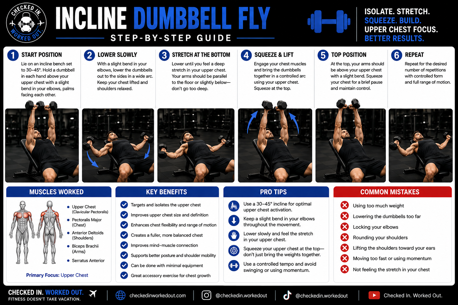 Incline dumbbell fly step-by-step exercise guide showing proper upper-chest exercise form