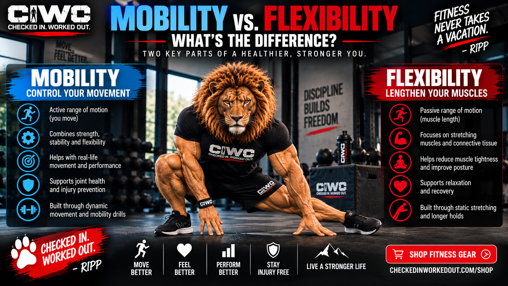 Horizontal CIWO Mobility vs Flexibility comparison featuring RIPP the Lion in a gym