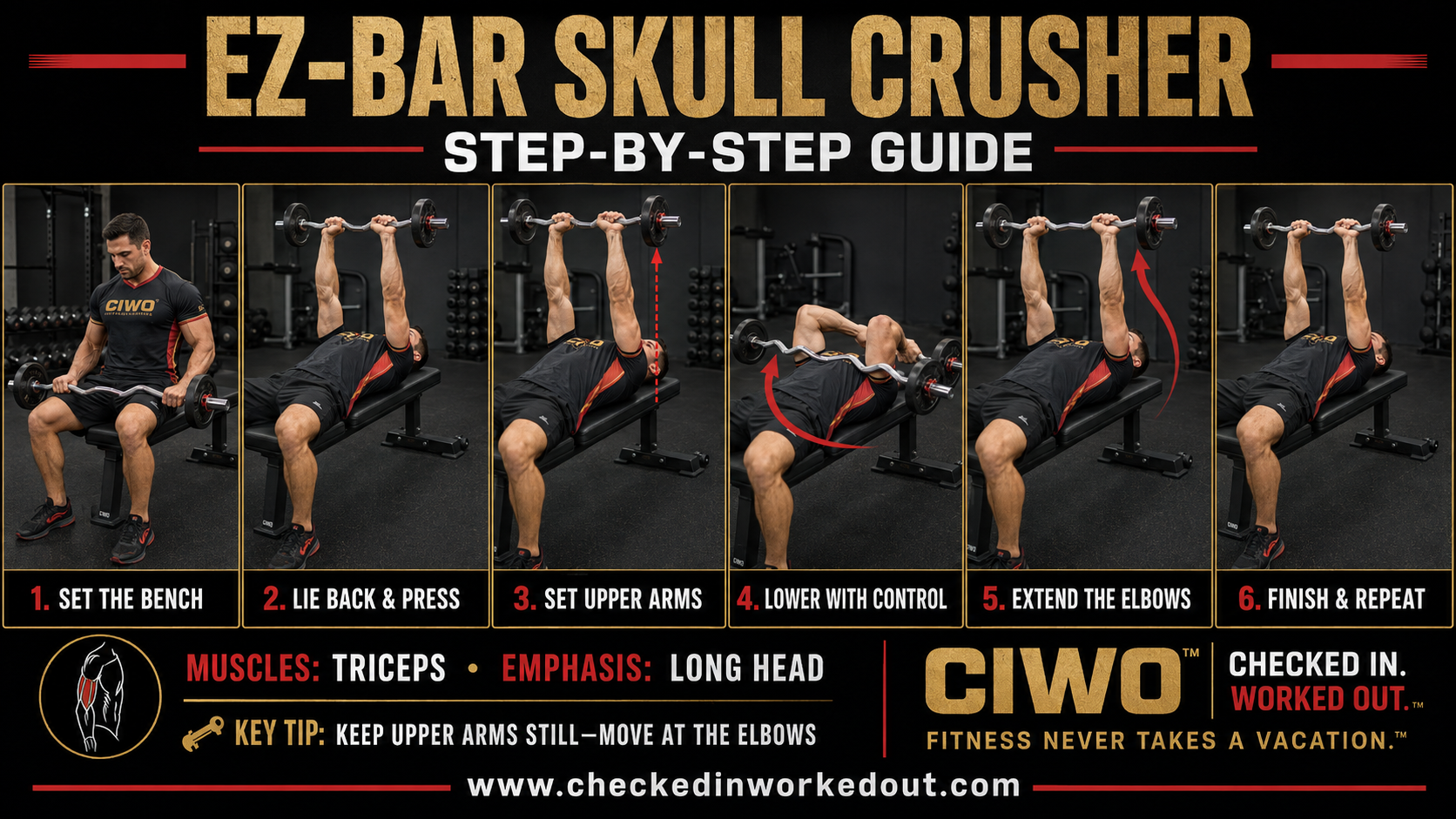 Six-step CIWO guide demonstrating proper EZ-Bar Skull Crusher form on a flat bench