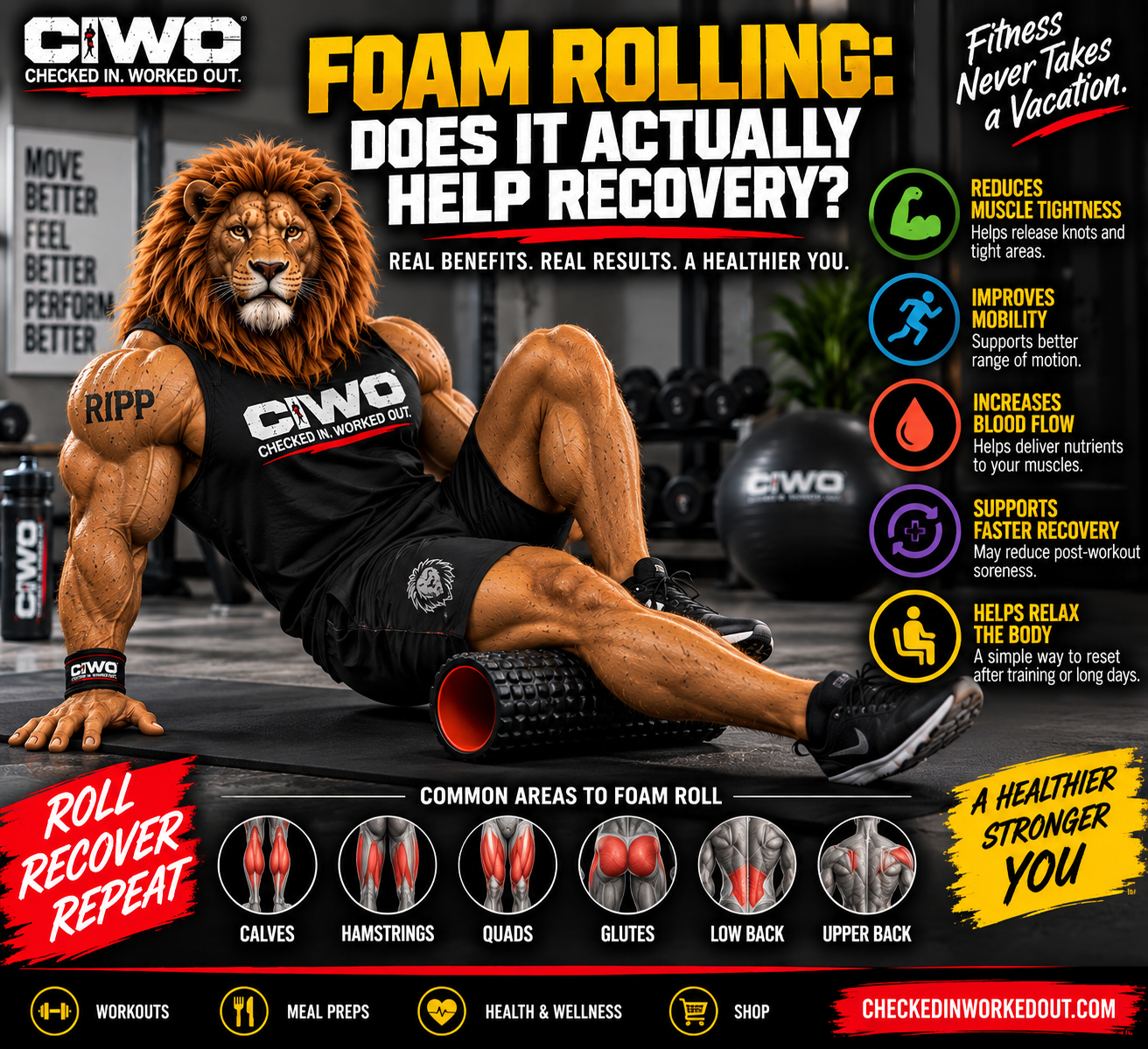 RIPP the Lion demonstrating foam rolling in a CIWO gym with recovery-themed infographic callouts