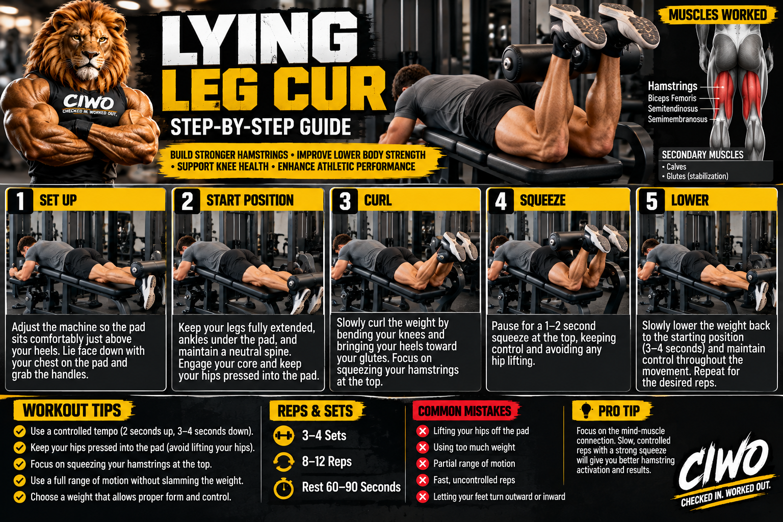 Human athlete demonstrating lying leg curl machine form in a CIWO step-by-step workout guide