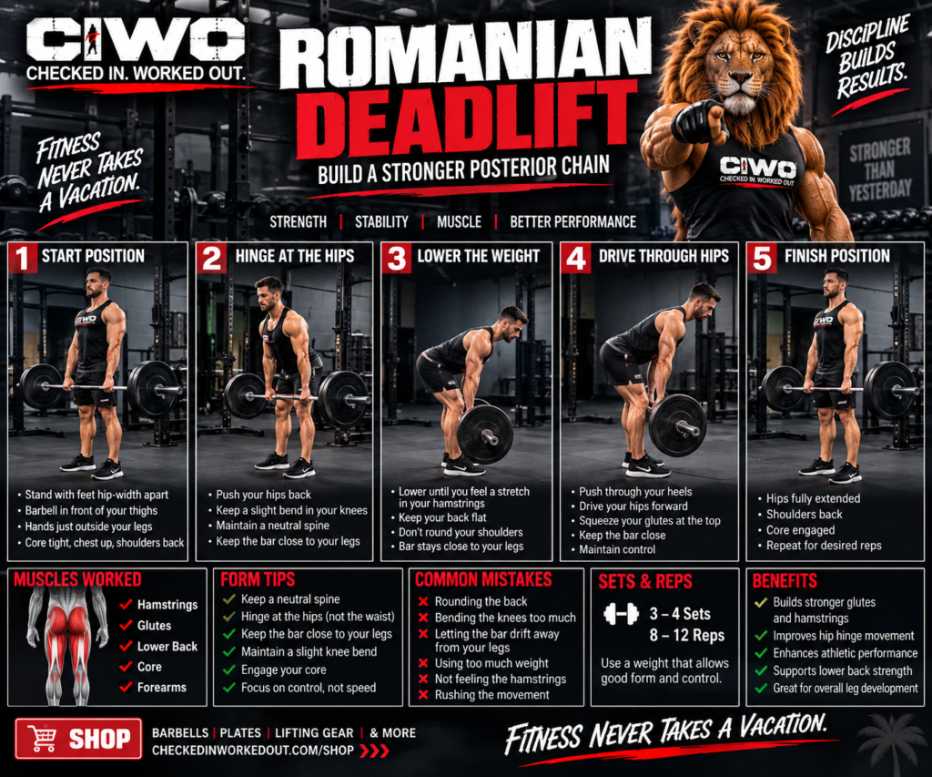 CIWO Romanian deadlift illustrated three-stage hip hinge guide: stand tall, push hips back, return to standing