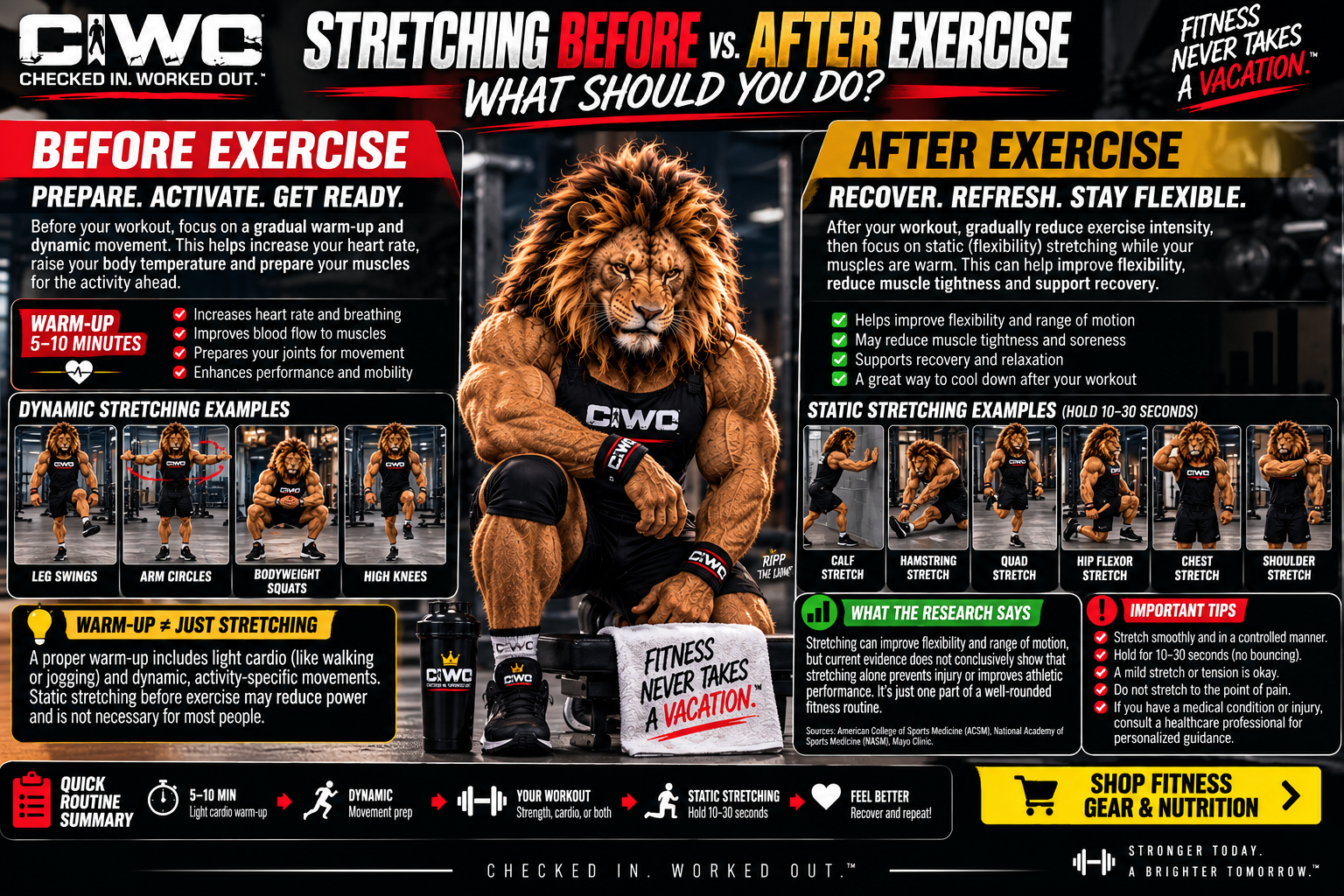 Stretching before vs after exercise CIWO guide comparing dynamic warm-up and static stretching