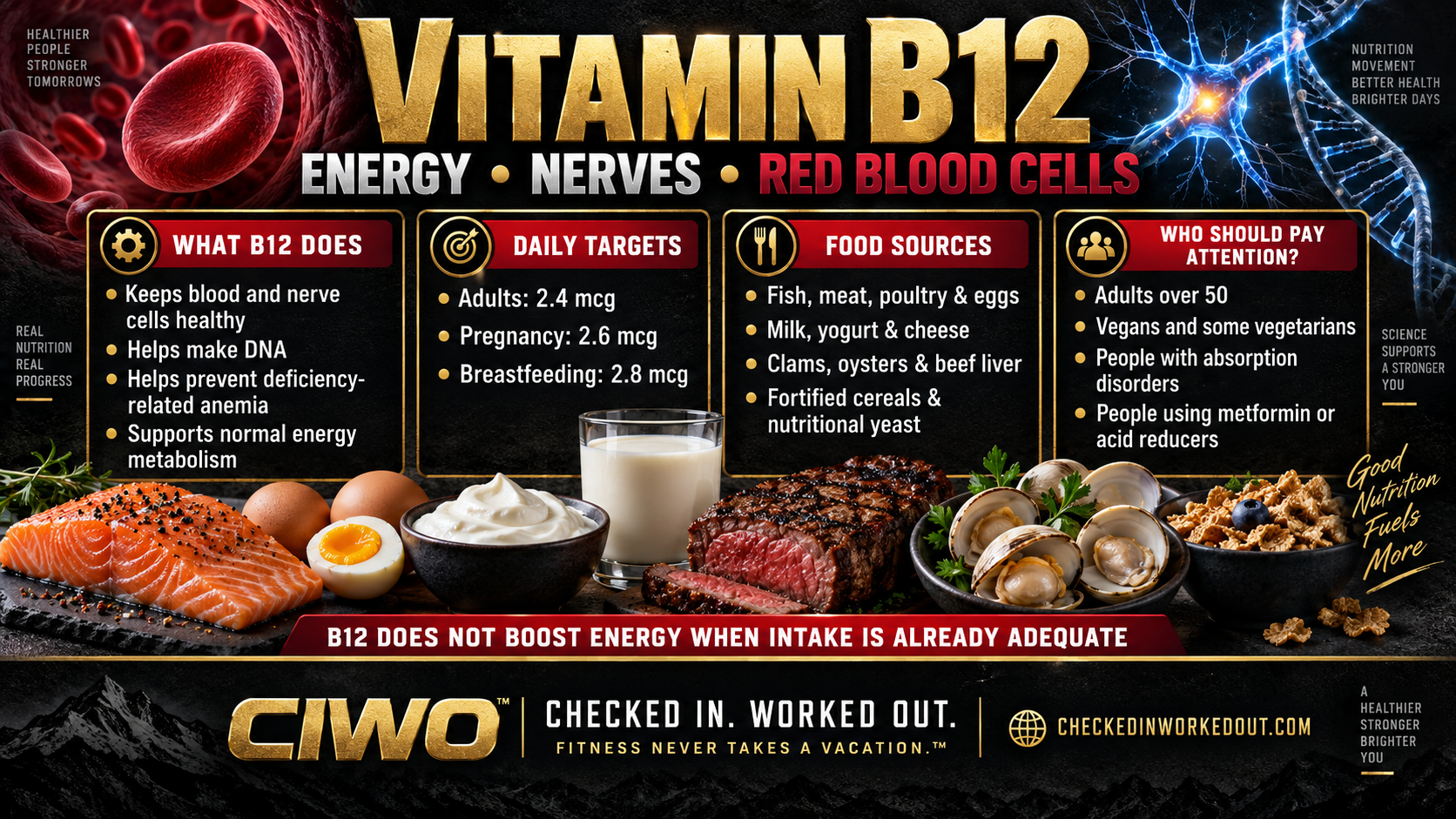 CIWO vitamin B12 guide covering energy metabolism, nerves, red blood cells, daily intake, food sources and deficiency risks