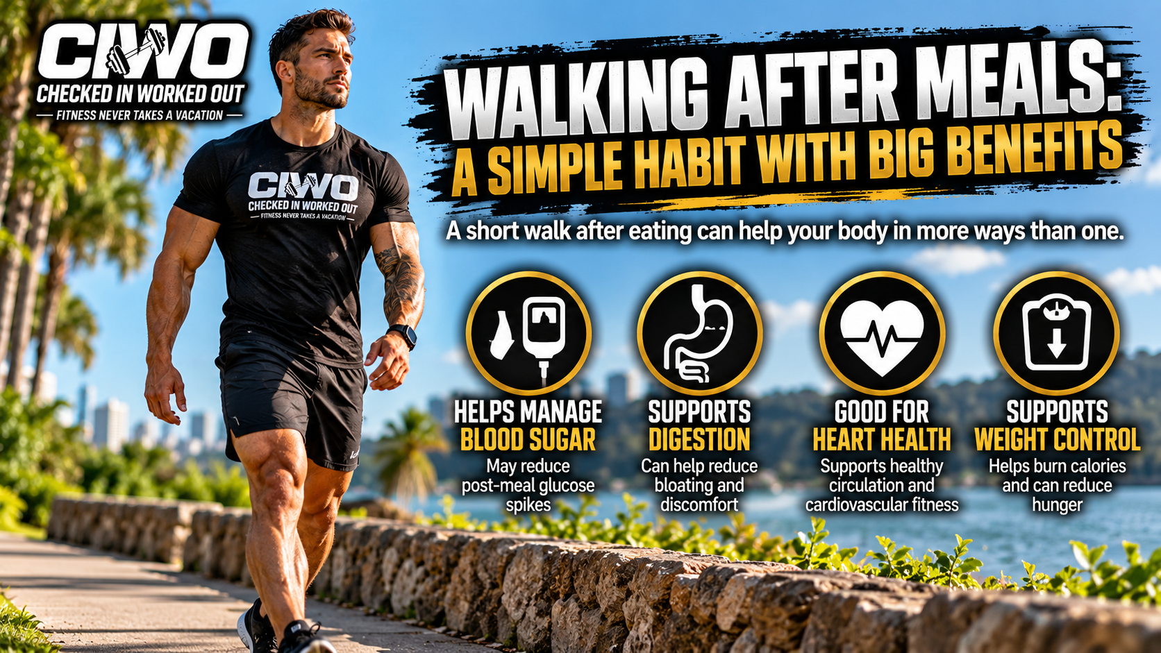 RIPP the Lion walking outdoors for CIWO article Walking After Meals: A Simple Habit With Big Benefits