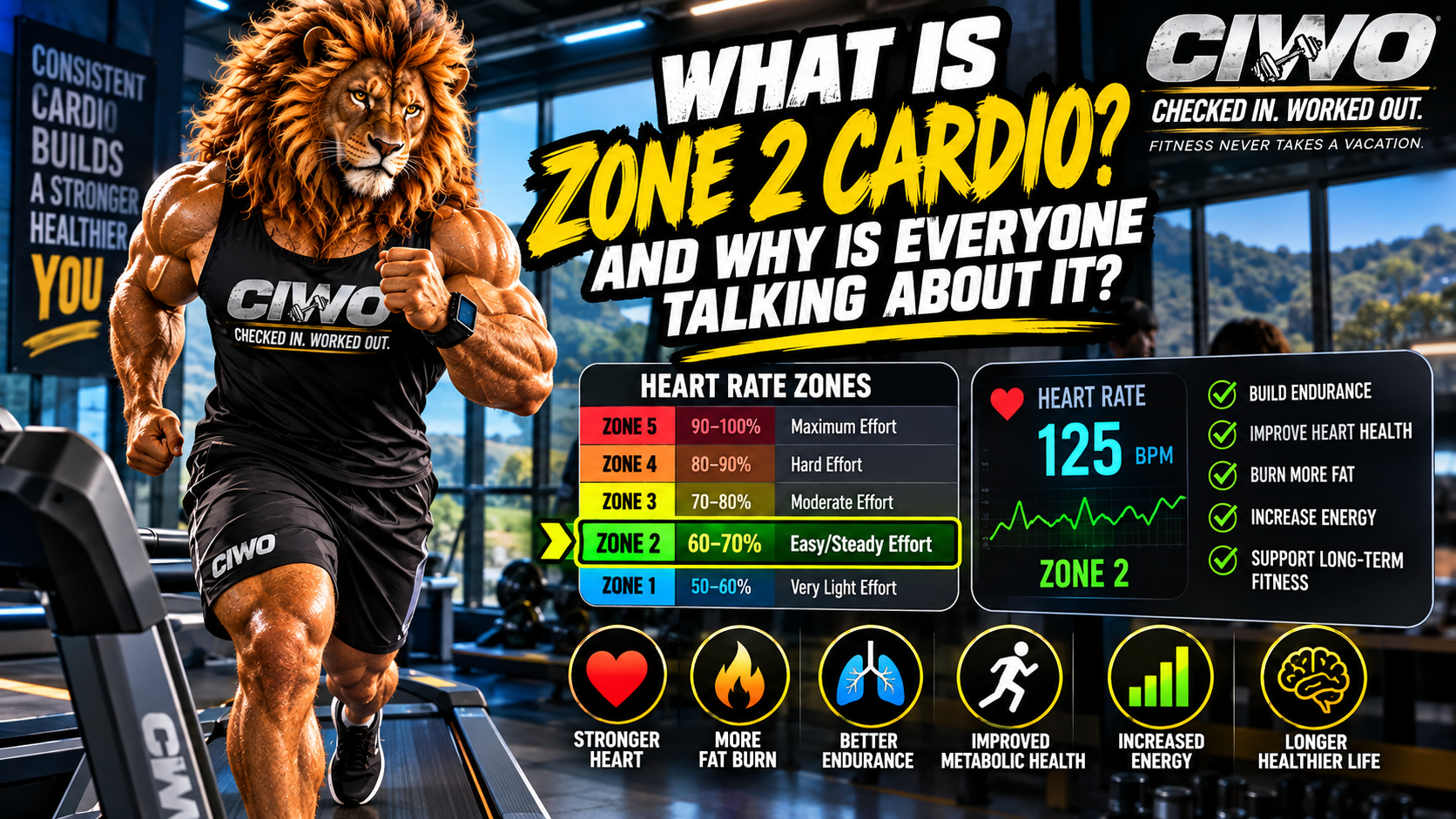 CIWO Zone 2 cardio educational graphic showing RIPP the Lion performing treadmill cardio with heart-rate training information