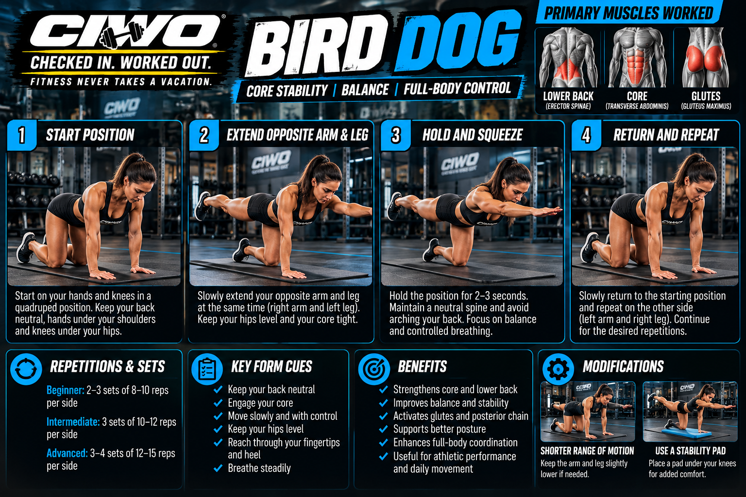 Bird Dog Exercise: Step-by-Step Guide to Proper Form
