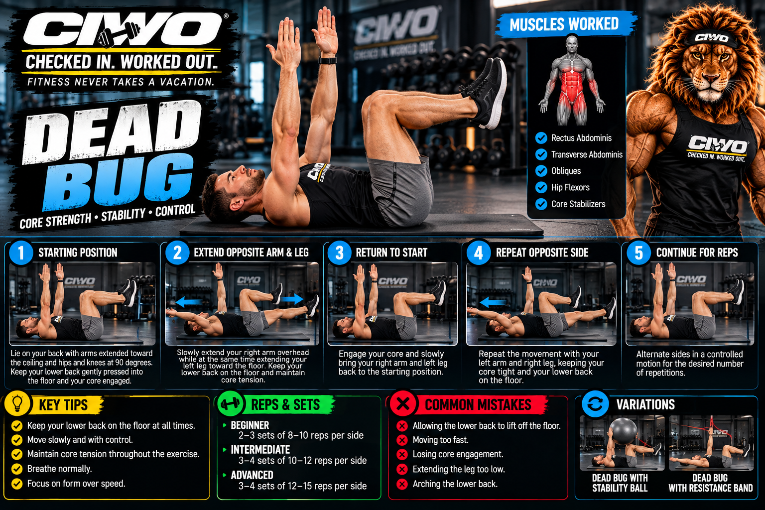 CIWO Dead Bug step-by-step exercise guide with human athlete demonstrating proper form