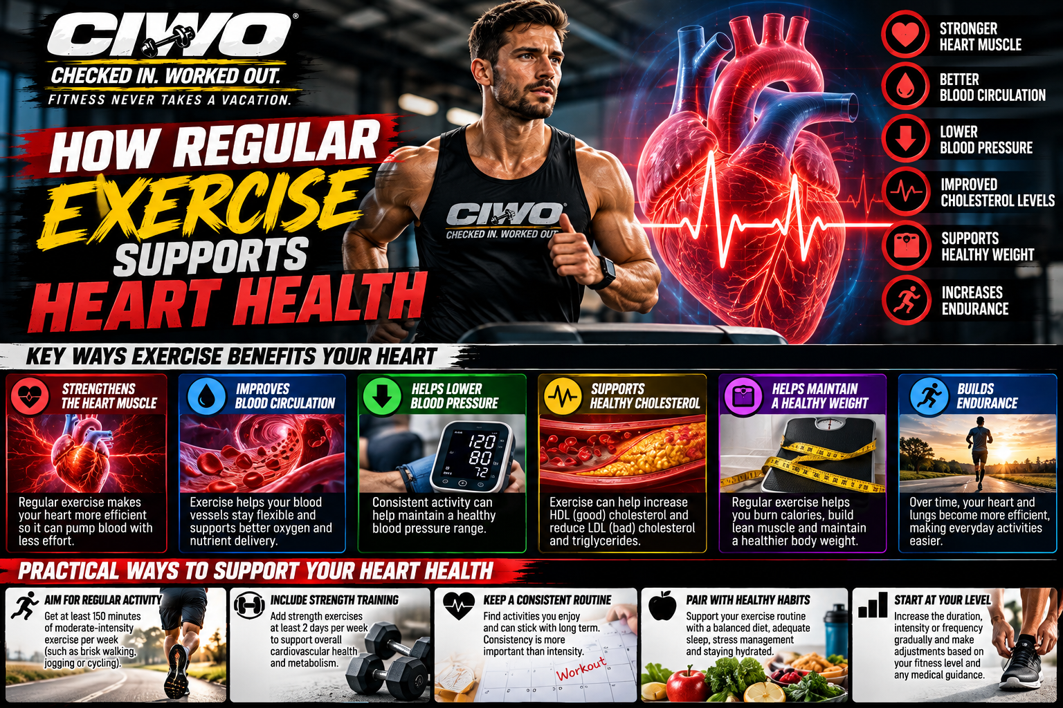 CIWO branded human athlete infographic explaining how regular exercise supports heart health
