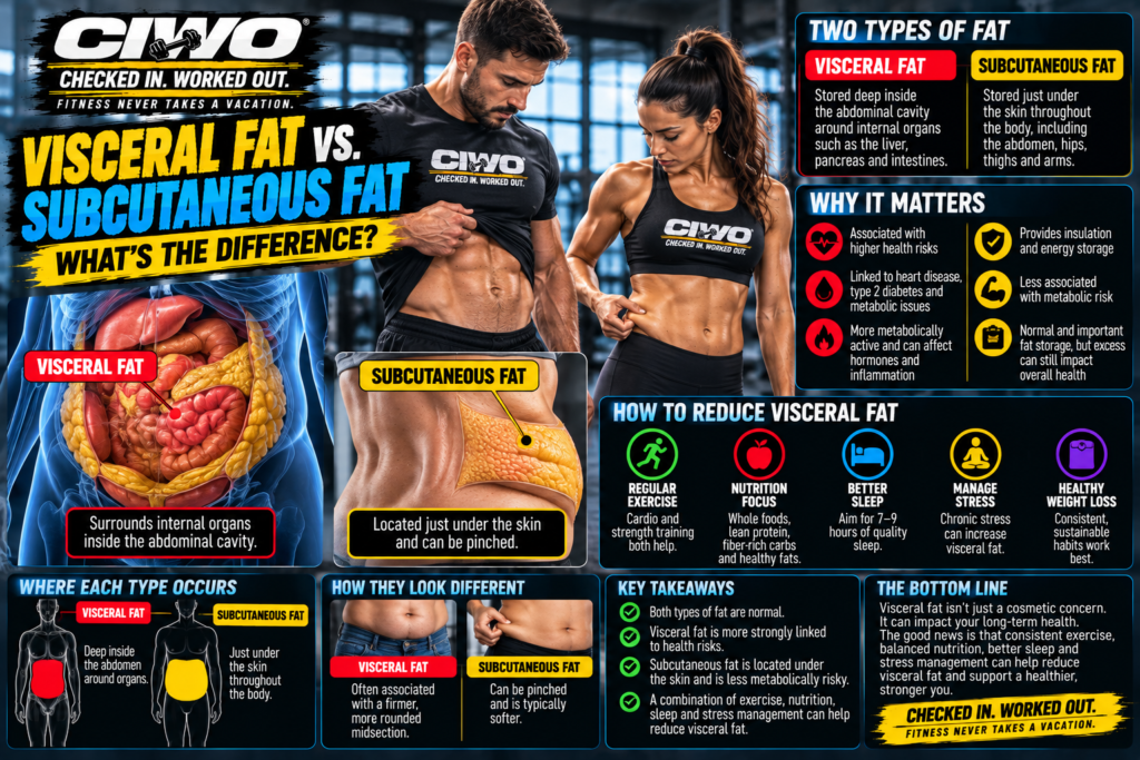 CIWO human athlete infographic explaining visceral fat versus subcutaneous fat and where each type is stored