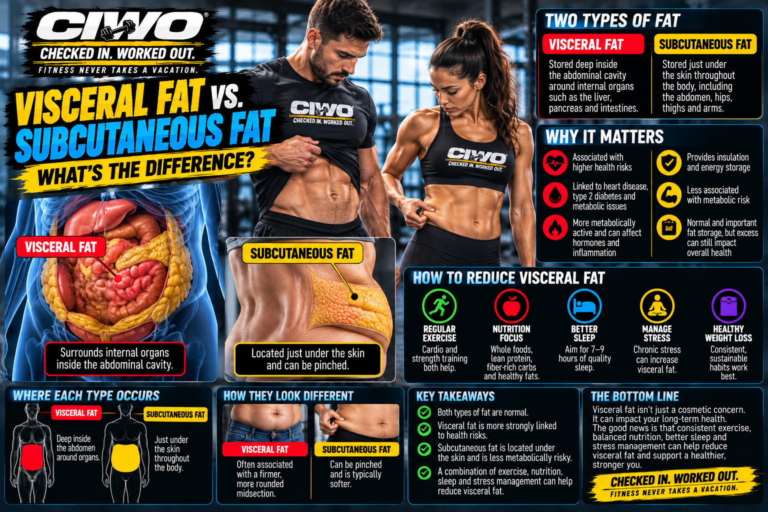 CIWO human athlete infographic explaining visceral fat versus subcutaneous fat and where each type is stored